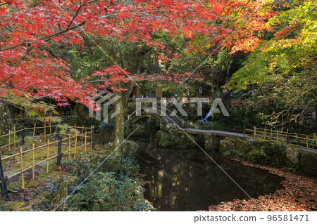 紅葉盛開的鳴谷山正法寺 96581471