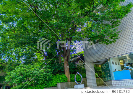 [Urban scenery of Tokyo] Urban scenery around Daikanyama 96581783