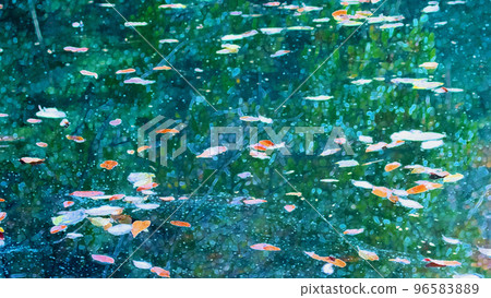 Background of the sky reflected on the surface of the lake, trees and fallen leaves Background of the sky reflected on the surface of the lake, trees and fallen leaves 96583889