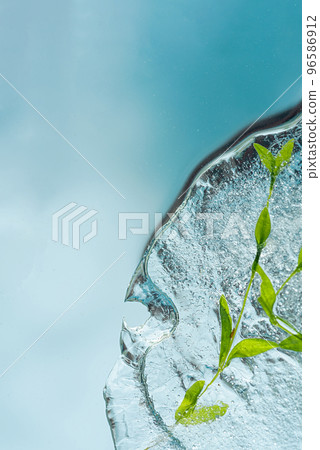 Background, herbal cryotherapy from medicinal herbs frozen in transparent ice 96586912