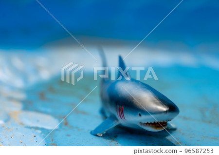 Great white shark plastic toy in an empty swimming pool 96587253