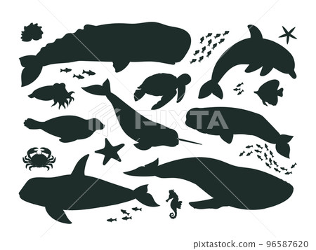 Cartoon sea animals silhouettes, ocean life fauna, orca, dolphin and whale. Underwater aquatic creatures, sperm whale, narwhal and seal vector symbols illustrations set 96587620