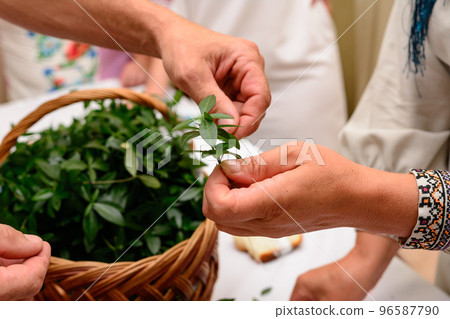 The process of weaving a periwinkle wreath, which is a traditional Ukrainian talisman for Ukrainian brides. 96587790