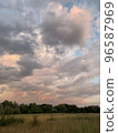 Landscape with meadow grasses at sunset  96587969