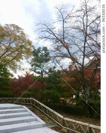 Autumn leaves at Chishaku-in Temple, Kyoto 96588036