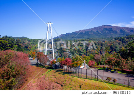 紅葉與九重“夢”吊橋 紅葉與九重“夢”吊橋 96588115