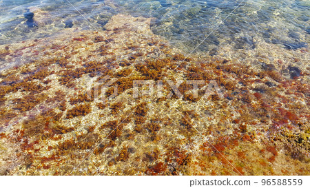 Low tide sea water near the shore Low tide sea water near the shore 96588559
