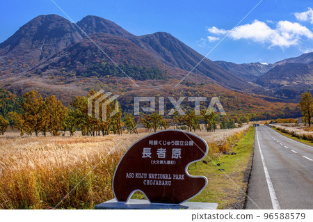 Chojabaru 的秋葉和蒲葦 96588579