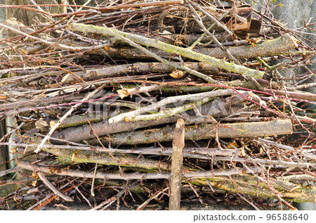 branch of woods branch of woods 96588640