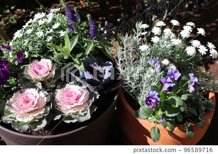 牡丹花群栽碗 牡丹花群栽碗 96589716