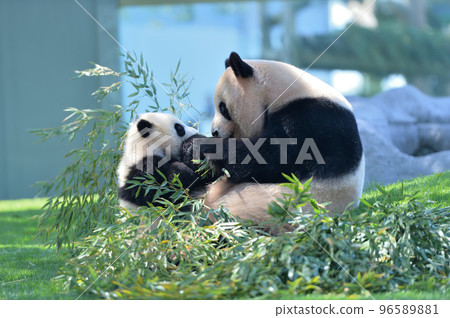 吉濱媽媽邊吃邊看著由依濱 96589881