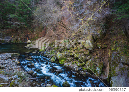 [Late Autumn] Sasaki Gorge [Maji River] 96590837
