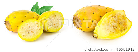 yellow prickly pear or opuntia with leaf isolated on a white background 96591912