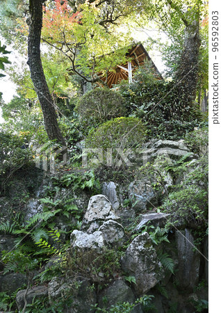 建在松古莊人工山上的亭子 96592803