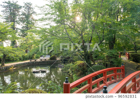 早上在公園里新鮮的綠色長廊（打吹公園） 96592831