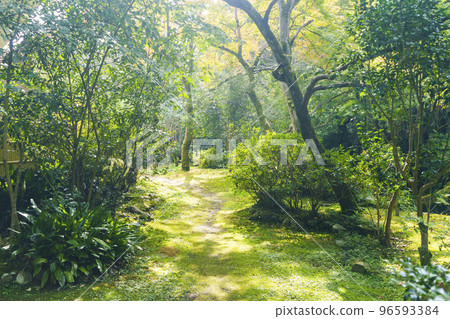 Garden of Amami Onsen Nanten-en 96593384