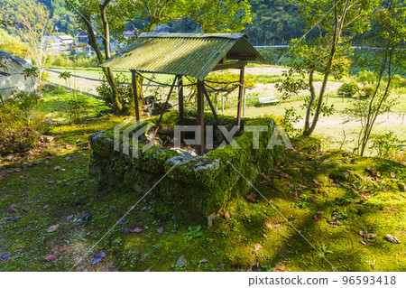 流屋八幡神社院內（大阪府河內長野市奄美市） 96593418