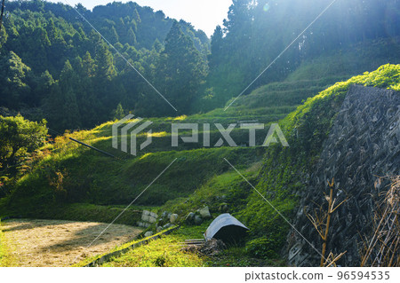 大阪府河內長野市奄美市 Nagareya 區的里山梯田風景 96594535