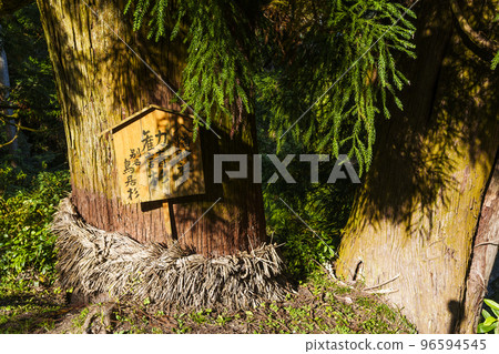 Nagareya Hachiman Shrine Torii Cedar（大阪府河內長野市奄美） 96594545