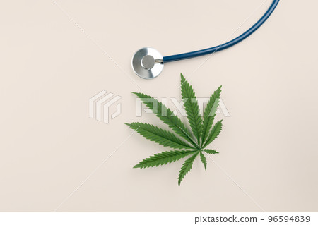 Flat lay top view image of legalized green hemp leaf next to a stethoscope. Flat lay top view image of legalized green hemp leaf next to a stethoscope. 96594839