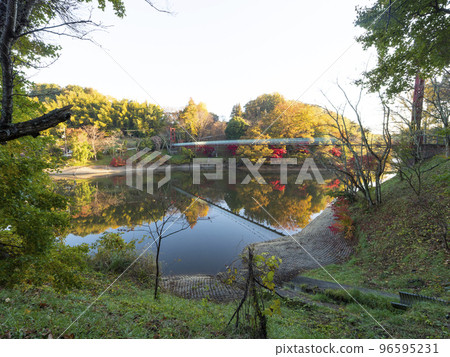 Scenery of beautiful autumnal dam lake and suspension bridge 96595231