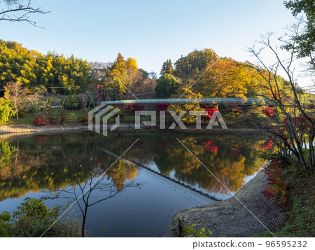 Scenery of beautiful autumnal dam lake and suspension bridge 96595232