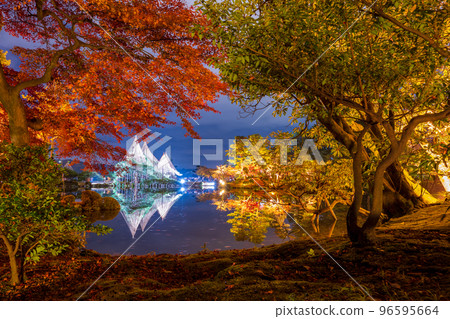 兼六園霞池的深秋紅葉夜景與白雪倒影｜石川縣金澤市 96595664