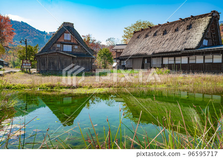 Shirakawa Village, Gifu Prefecture Autumn scenery of Shirakawago 96595717