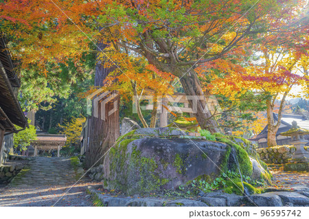 Shirakawa Village, Gifu Prefecture Autumn scenery of Shirakawago 96595742