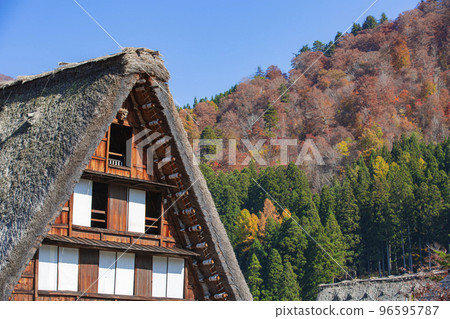 Shirakawa Village, Gifu Prefecture Autumn scenery of Shirakawago 96595787