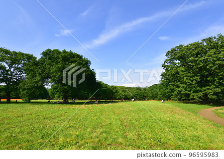 Scenery of Yoyogi Park, Shibuya-ku, Tokyo 96595983
