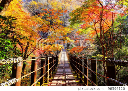 秋葉中的 Hananuki Valley Shiomi Falls 吊橋 96596120