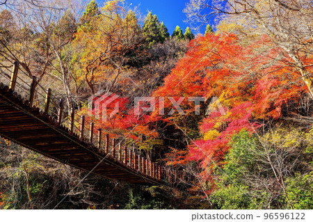 秋葉中的 Hananuki Valley Shiomi Falls 吊橋 96596122