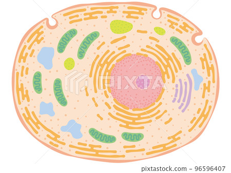 Image of a living cell - Stock Illustration [96596407] - PIXTA