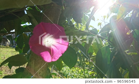 下午的時間 96596545