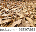 dead leaf carpet 96597863
