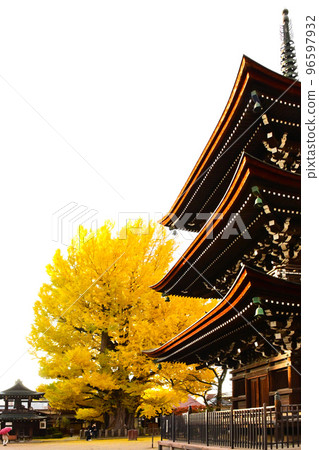 Golden ginkgo biloba and Kokubunji three-storied pagoda Golden ginkgo biloba and Kokubunji three-storied pagoda 96597932