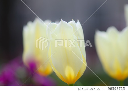 初夏公園 初夏公園 96598715