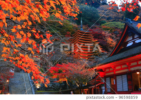 [奈良縣]談山神社（十三層寶塔和神社崇拜場所）的秋葉點亮 96598859