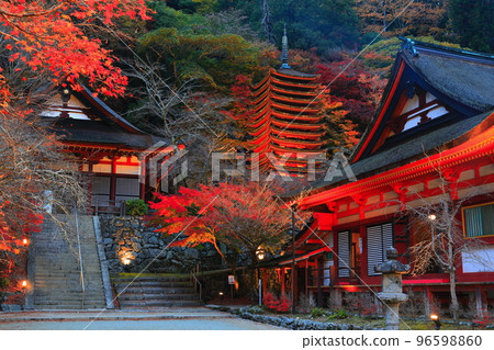 [奈良縣]談山神社（十三層寶塔和神社崇拜場所）的秋葉點亮 96598860