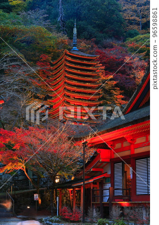 [奈良縣]談山神社（十三層寶塔）的紅葉點亮 96598861