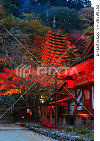 [奈良縣]談山神社（十三層寶塔）的紅葉點亮 96598862