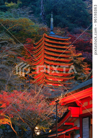 [Nara Prefecture] Autumn leaves light up at Tanzan Shrine (thirteen-storied pagoda) 96598863