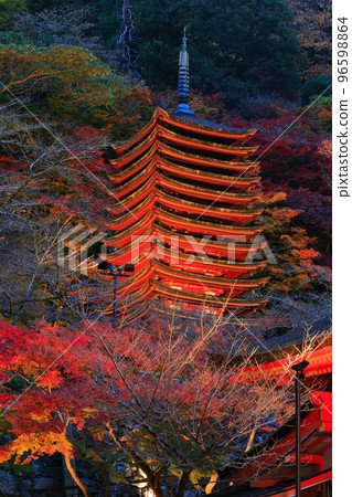 [奈良縣]談山神社（十三層寶塔）的紅葉點亮 96598864