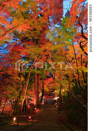 [Nara Prefecture] Autumn leaves light up at Tanzan Shrine 96598865