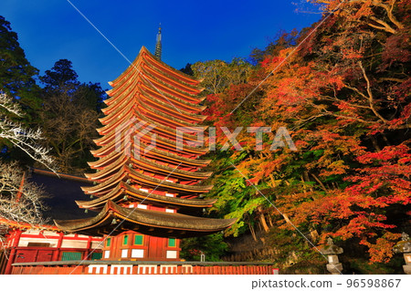 [Nara Prefecture] Autumn leaves light up at Tanzan Shrine (thirteen-storied pagoda) 96598867