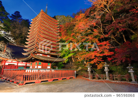 [Nara Prefecture] Autumn leaves light up at Tanzan Shrine (thirteen-storied pagoda) 96598868