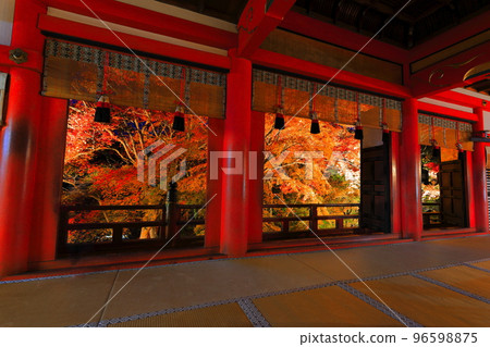 [Nara Prefecture] Illuminated autumn leaves seen from the front shrine of Tanzan Shrine 96598875