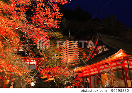 [Nara Prefecture] Autumn leaves light up at Tanzan Shrine (thirteen-storied pagoda and shrine worship place) 96598880