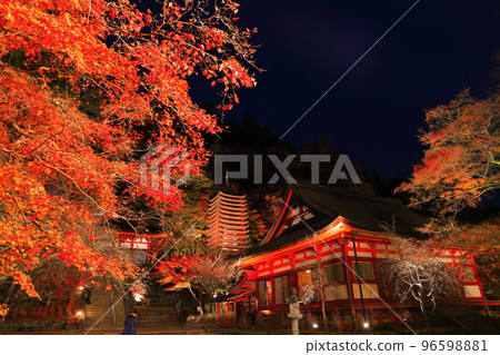 [奈良縣]談山神社（十三層寶塔和神社崇拜場所）的秋葉點亮 96598881